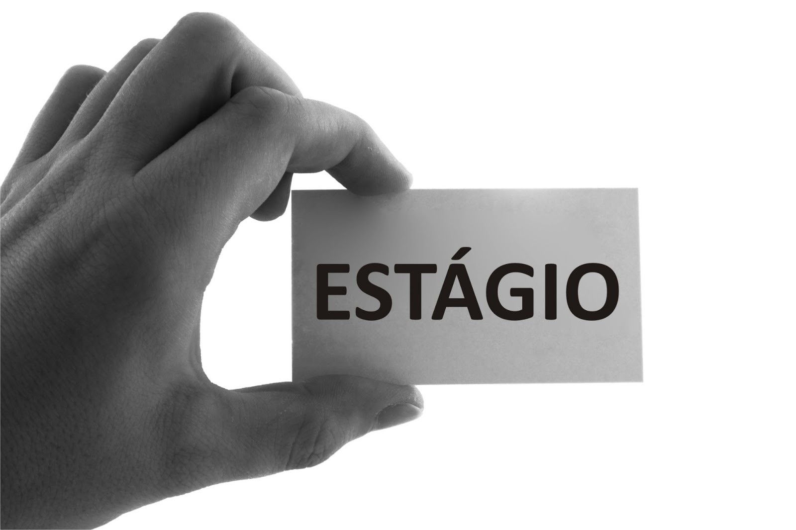 CIEE/PR anuncia novas vagas de estágio em Guarapuava