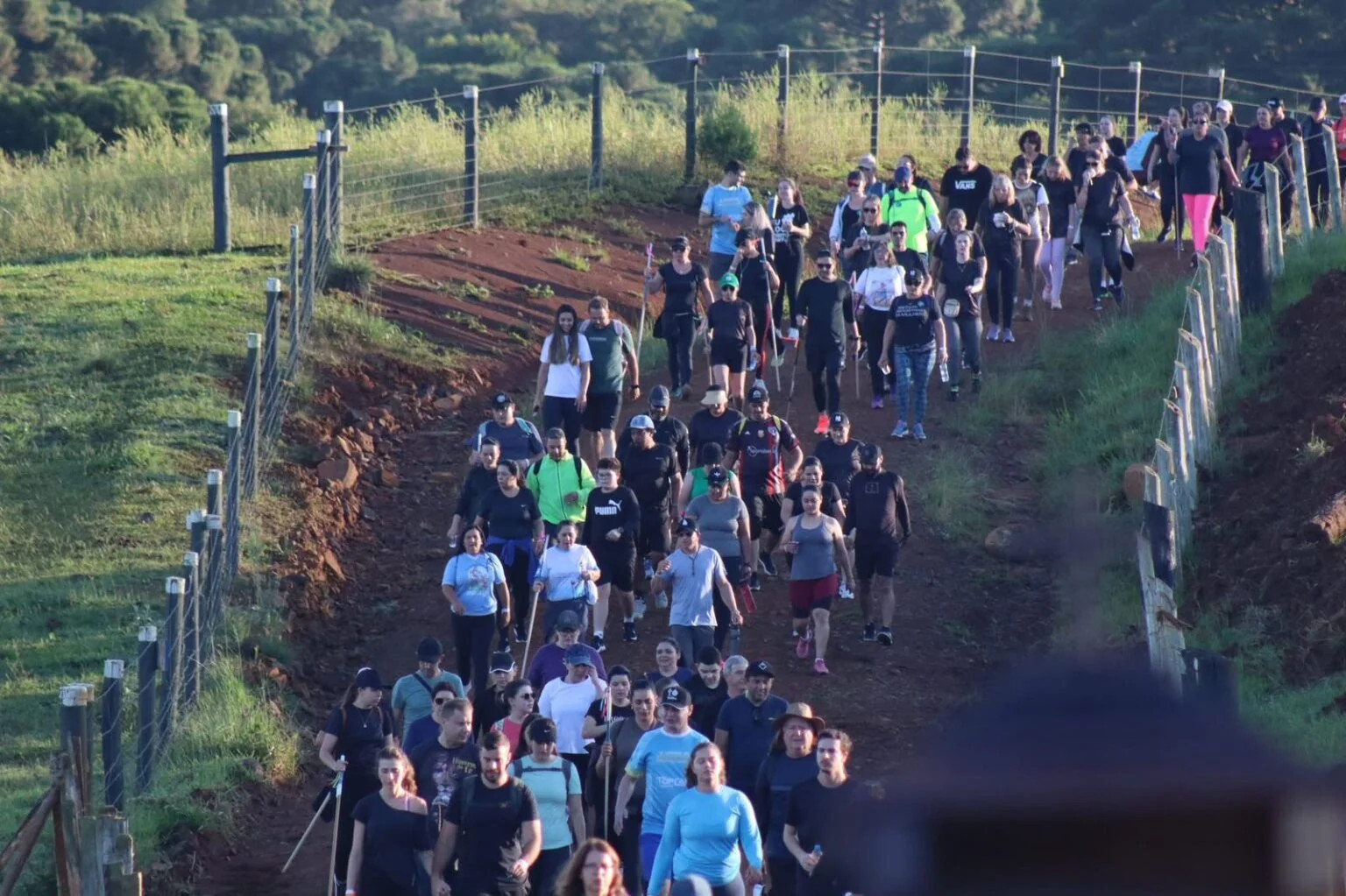 FÉ EM MOVIMENTO: peregrinação de 42 quilômetros reúne fiéis no próximo fim de semana em Guarapuava