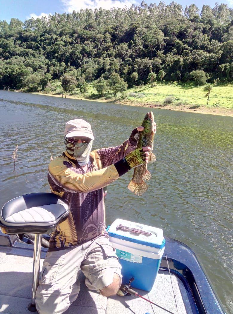 Principais famílias capturadas nos torneios de pesca nas praias do Olho