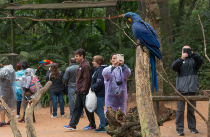 Paraná foi o terceiro portão de entrada de turistas estrangeiros em maio no país