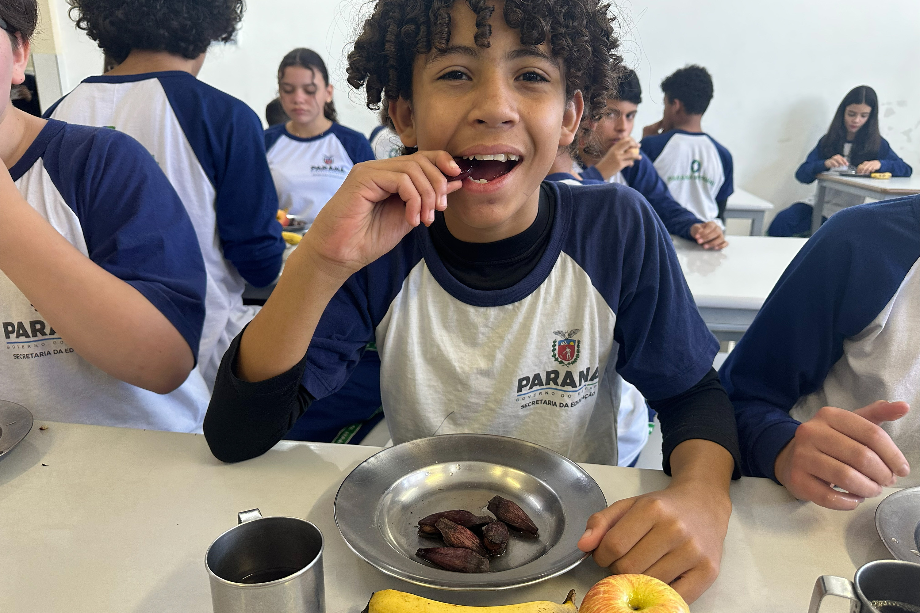 Pinhão amplia espaço nos cardápios da alimentação escolar da rede estadual; região de Guarapuava lidera produção estadual