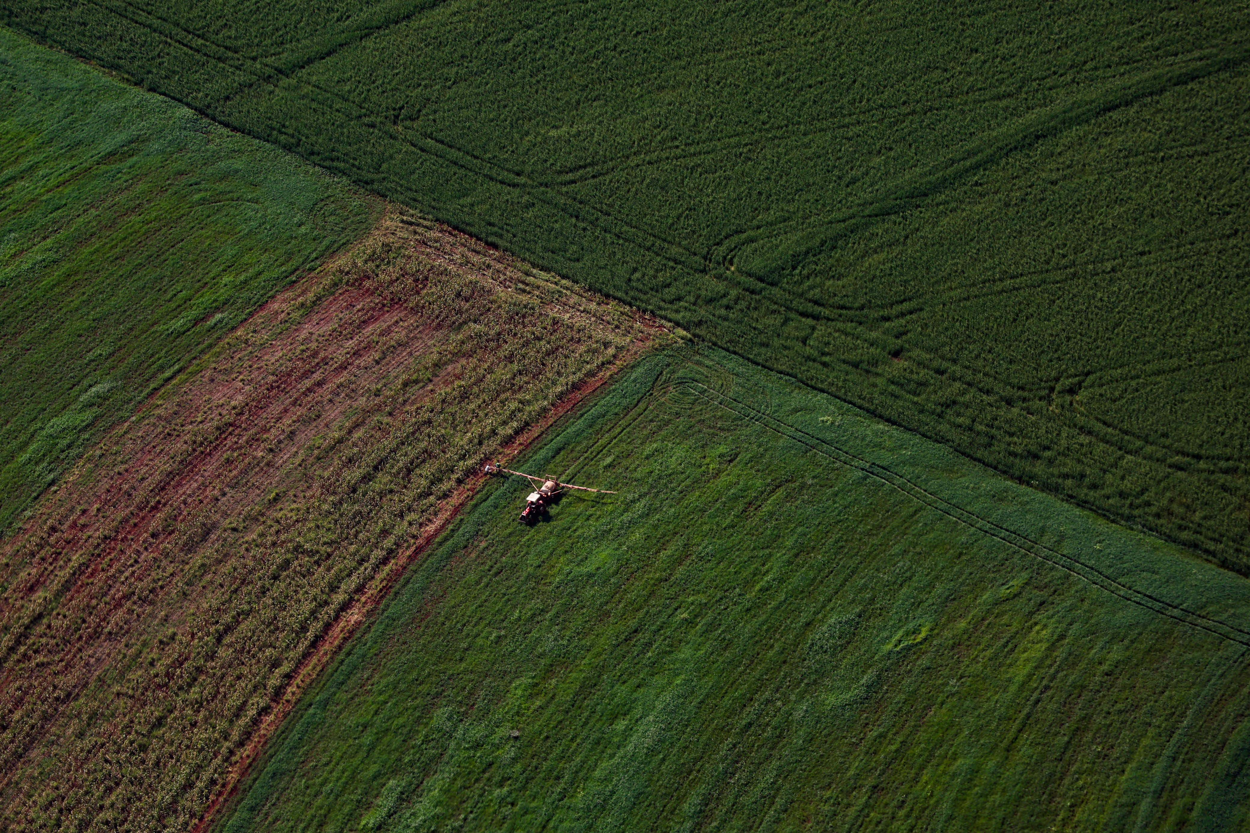 VBP Agropecuário do Paraná cresce 13% e alcança R$ 212,6 bilhões em 2025